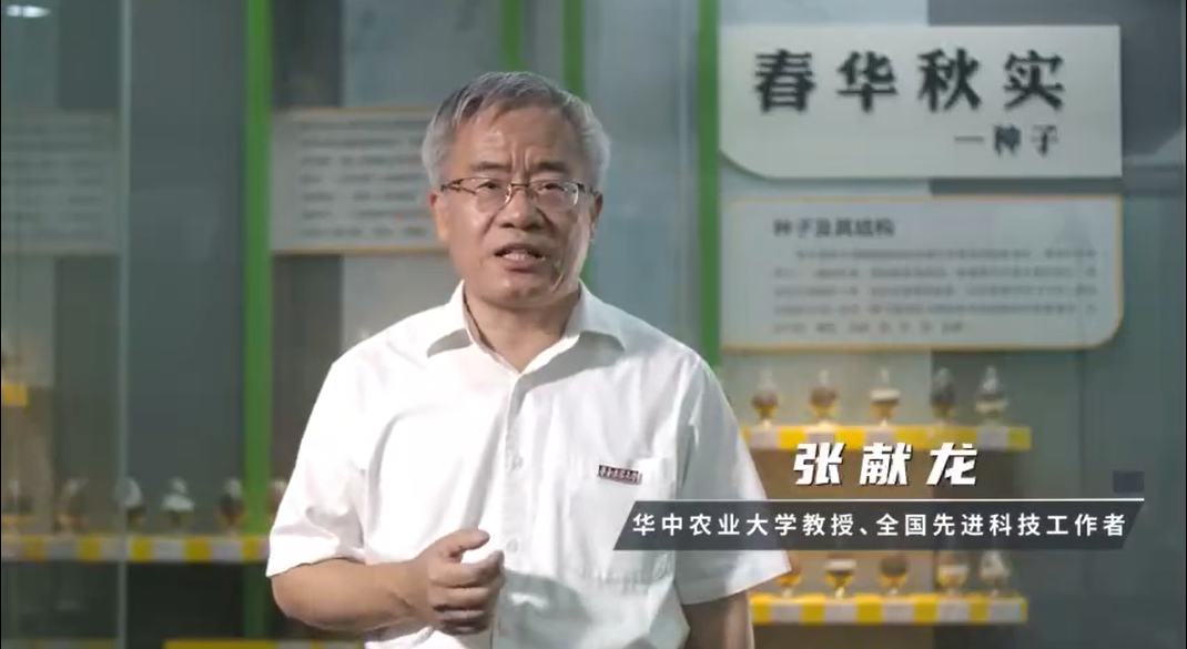 华中农业大学教授张献龙寄语大学生：仰望星空探学术，扎根大地务“三农”，深耕博采报国家 | 思政第一课