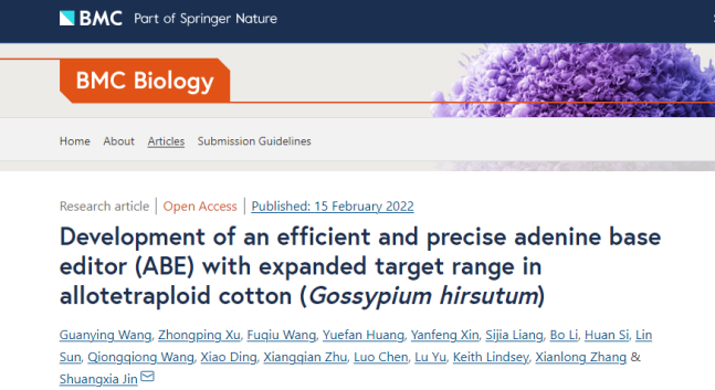 Development of an efficient and precise adenine base editor (ABE) with expanded target range in allotetraploid cotton (Gossypium hirsutum)