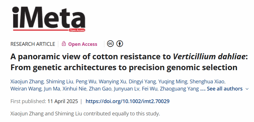iMeta | 华中农业大学棉花遗传改良团队破解棉花生产世纪难题，助力抗病育种进入全基因组选择快车道