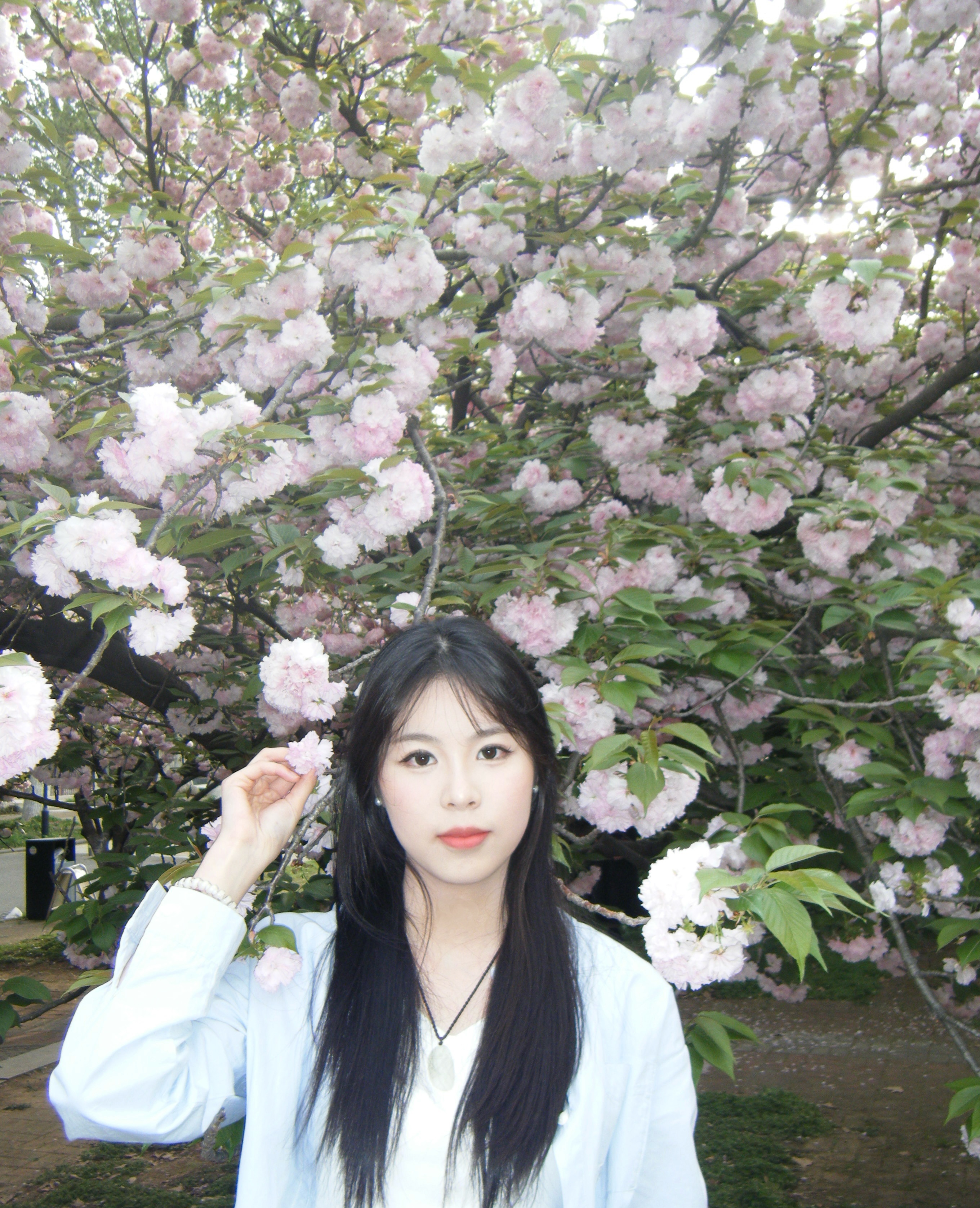 侯硕