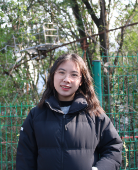 杨光琴