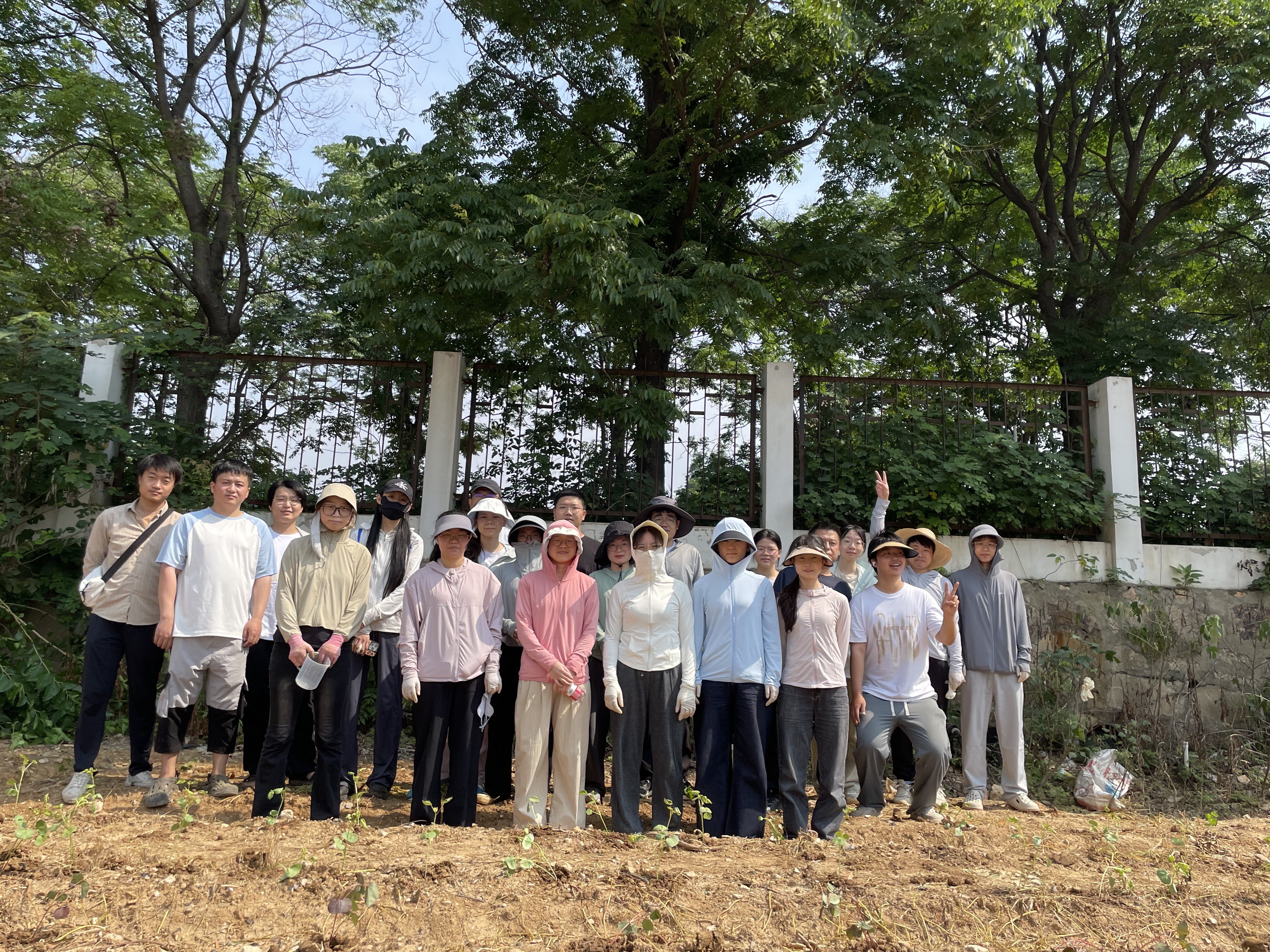 平台2025年多地进行棉花春播