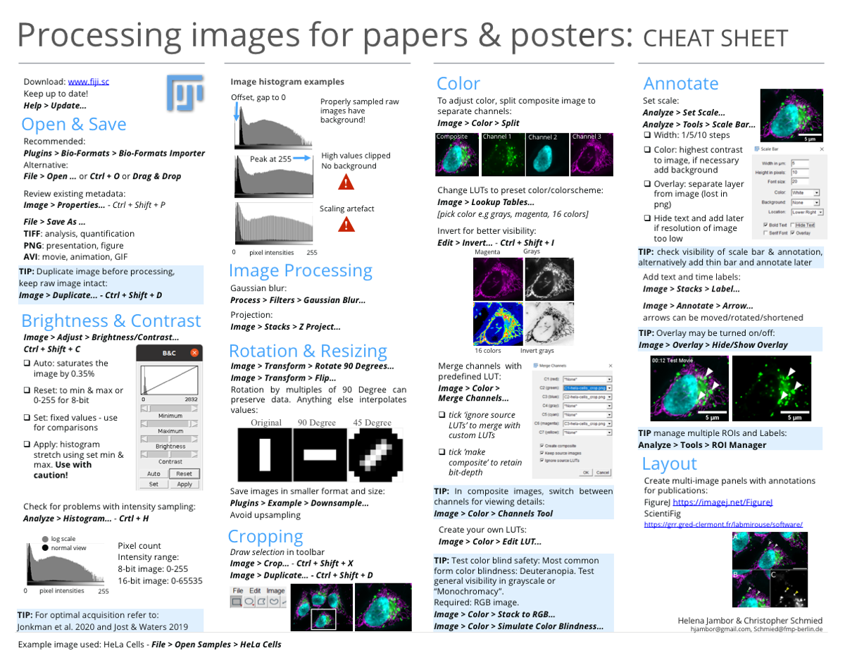 Cheat sheet that explains all steps and commands in FIJI to process and image for publication